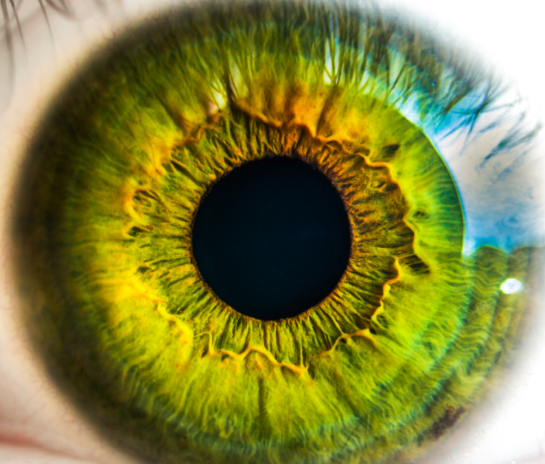 The Music And The Mystery…8/15