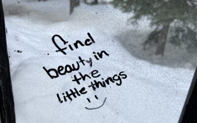 23, Life and the Why